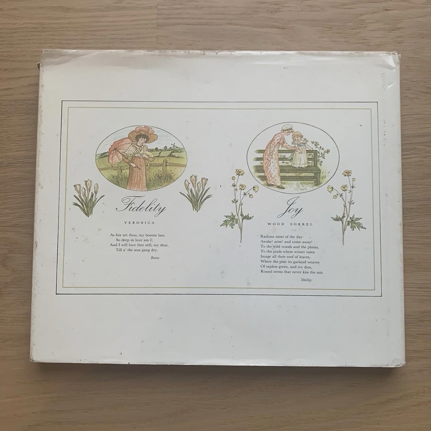 The Illuminated Language of Flowers (Hardcover, 1978) Jean Marsh/ Kate Greenaway