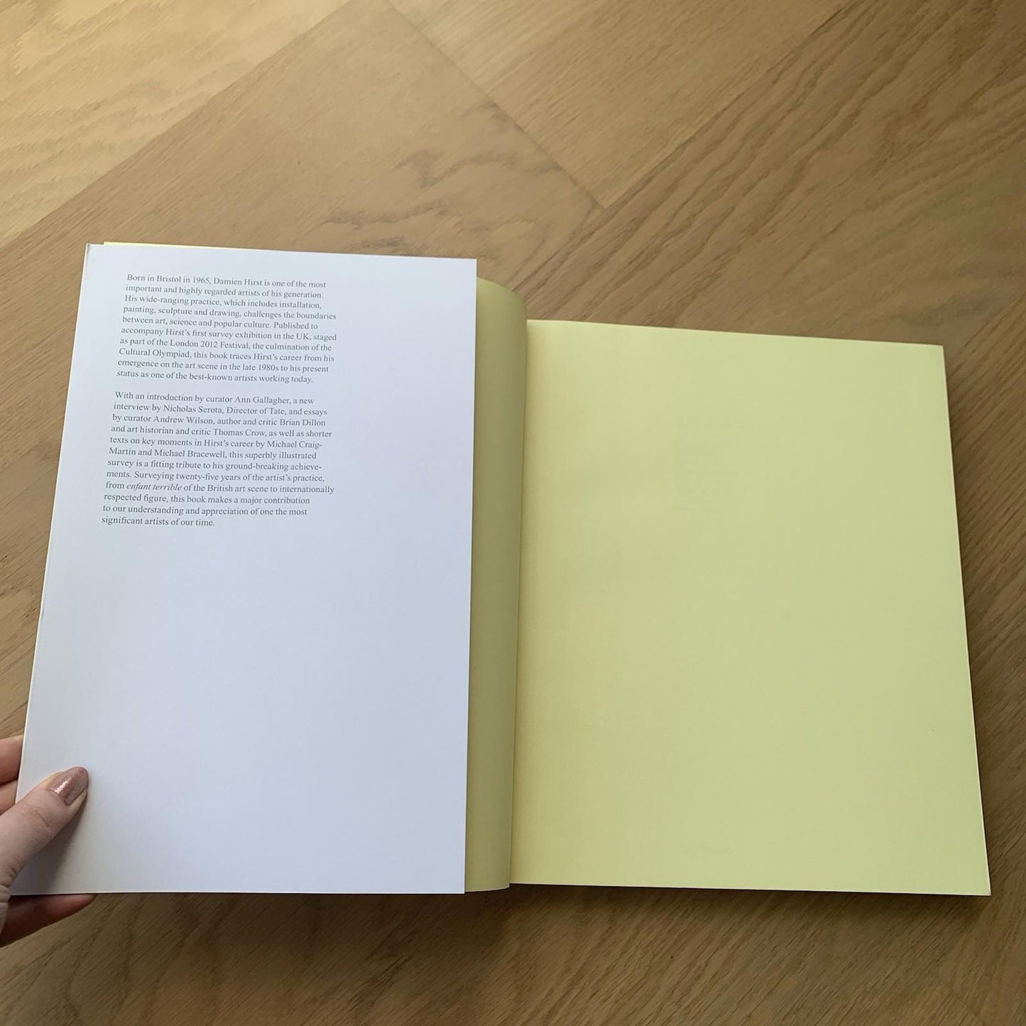 Damien Hirst Tate Gallery Paperback Book by Ann Gallagher (Paperback, 2012)