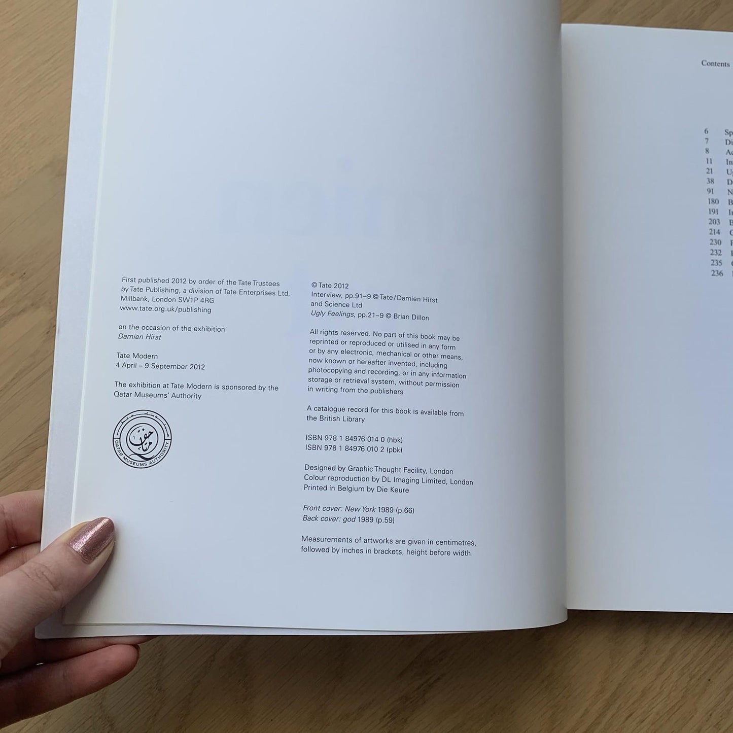 Damien Hirst Tate Gallery Paperback Book by Ann Gallagher (Paperback, 2012)