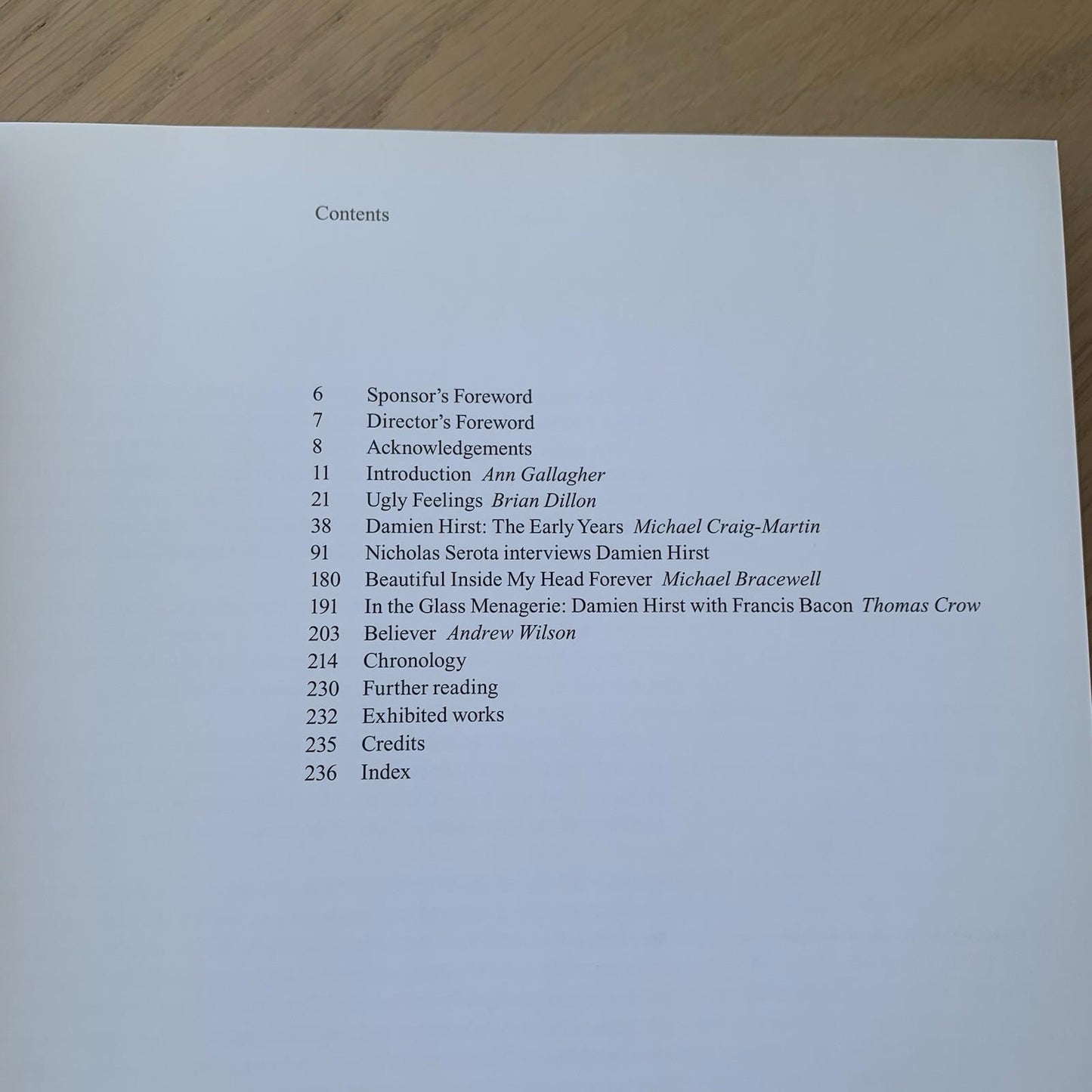 Damien Hirst Tate Gallery Paperback Book by Ann Gallagher (Paperback, 2012)