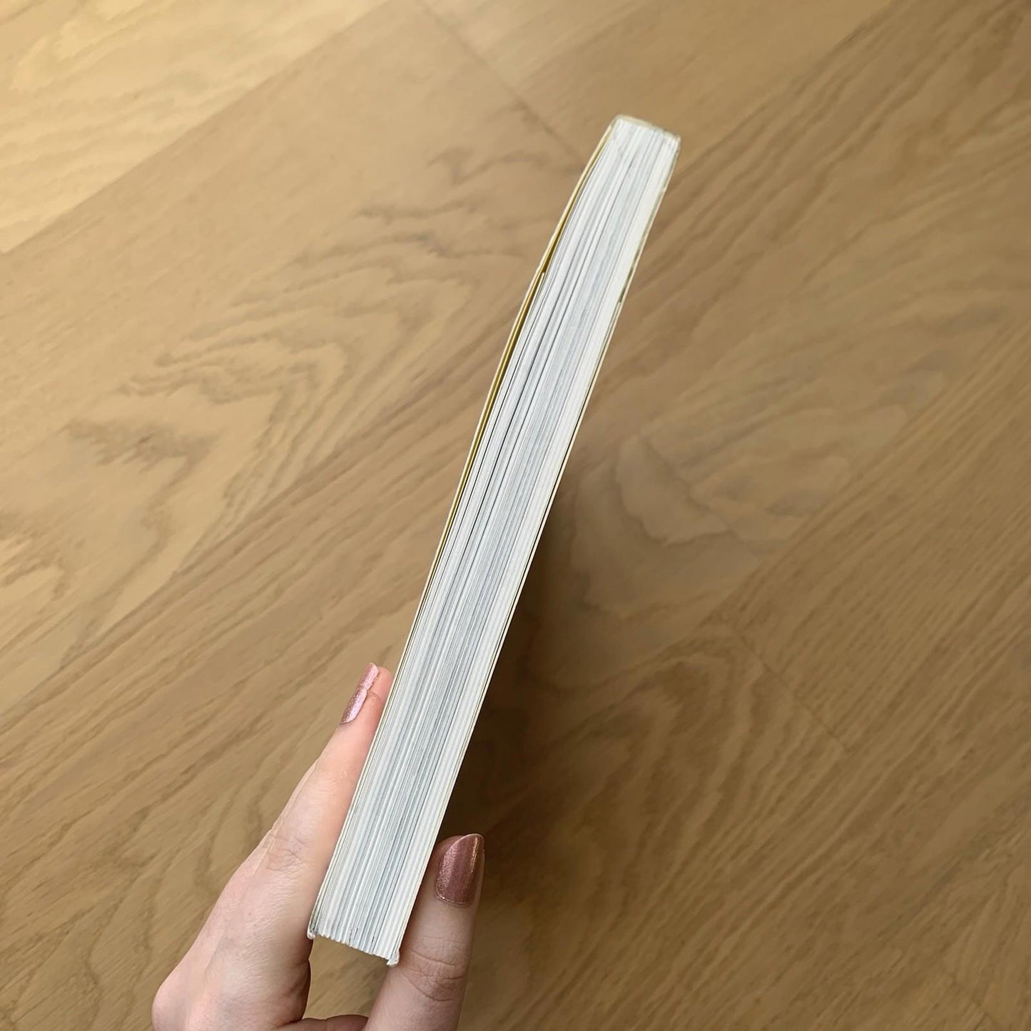 Damien Hirst Tate Gallery Paperback Book by Ann Gallagher (Paperback, 2012)