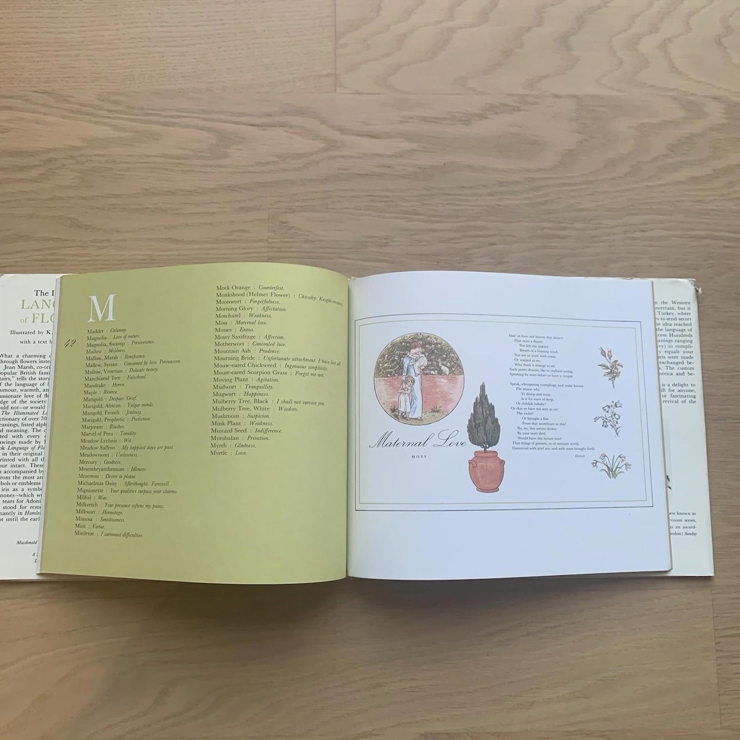 The Illuminated Language of Flowers (Hardcover, 1978) Jean Marsh/ Kate Greenaway