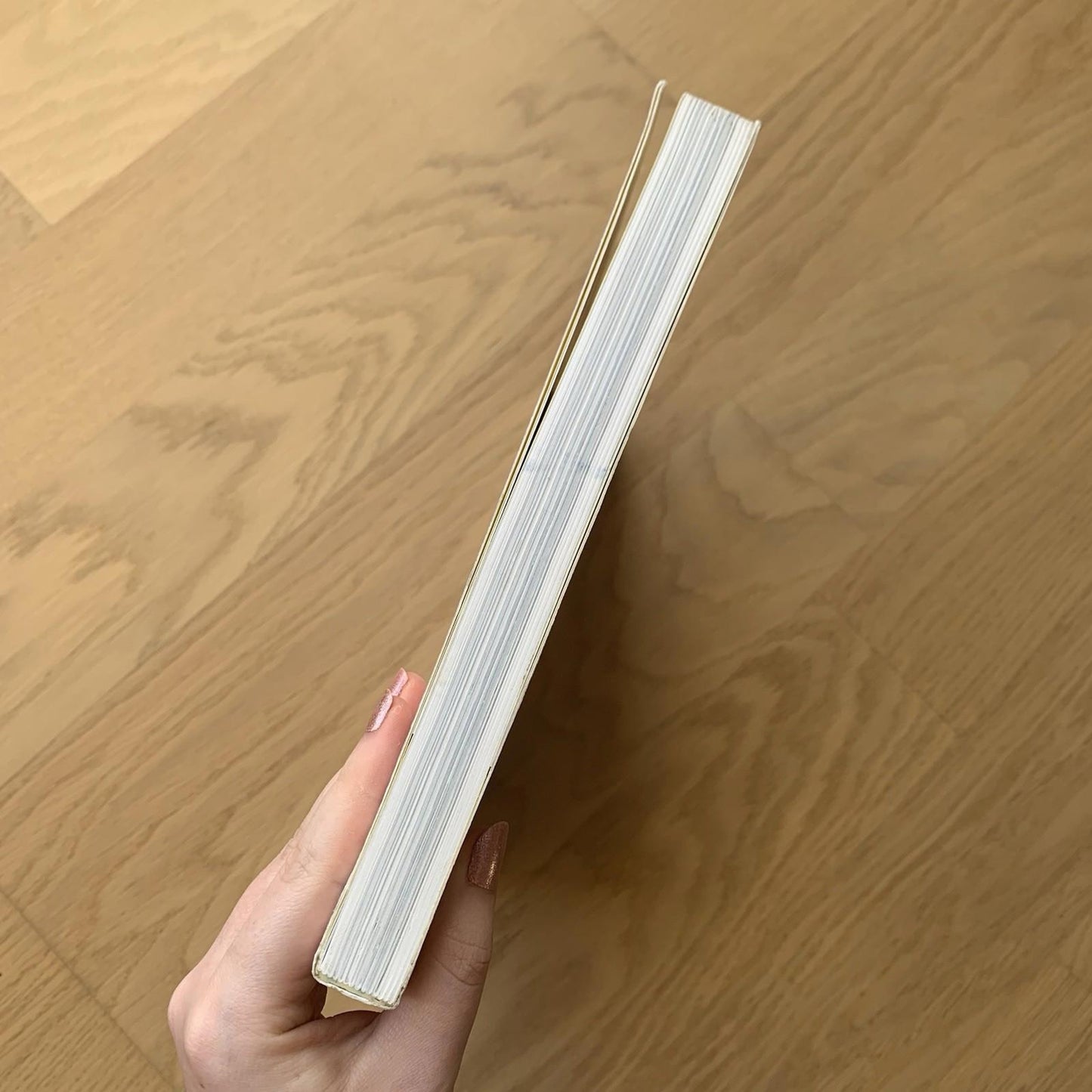 Damien Hirst Tate Gallery Paperback Book by Ann Gallagher (Paperback, 2012)